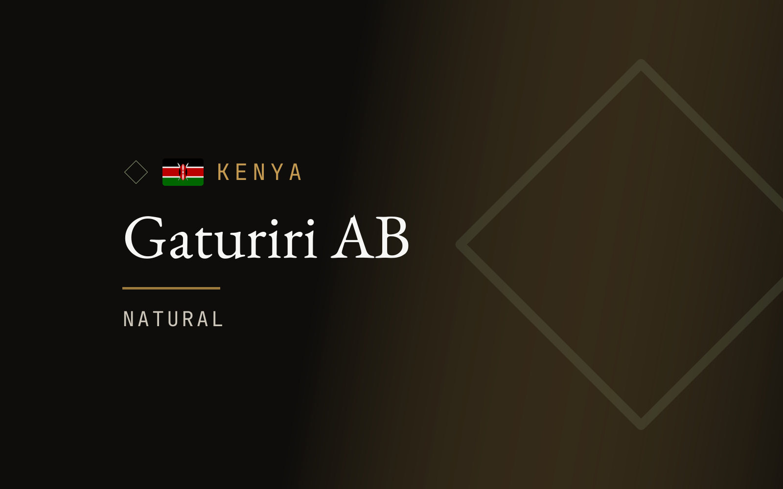 Gaturiri AB