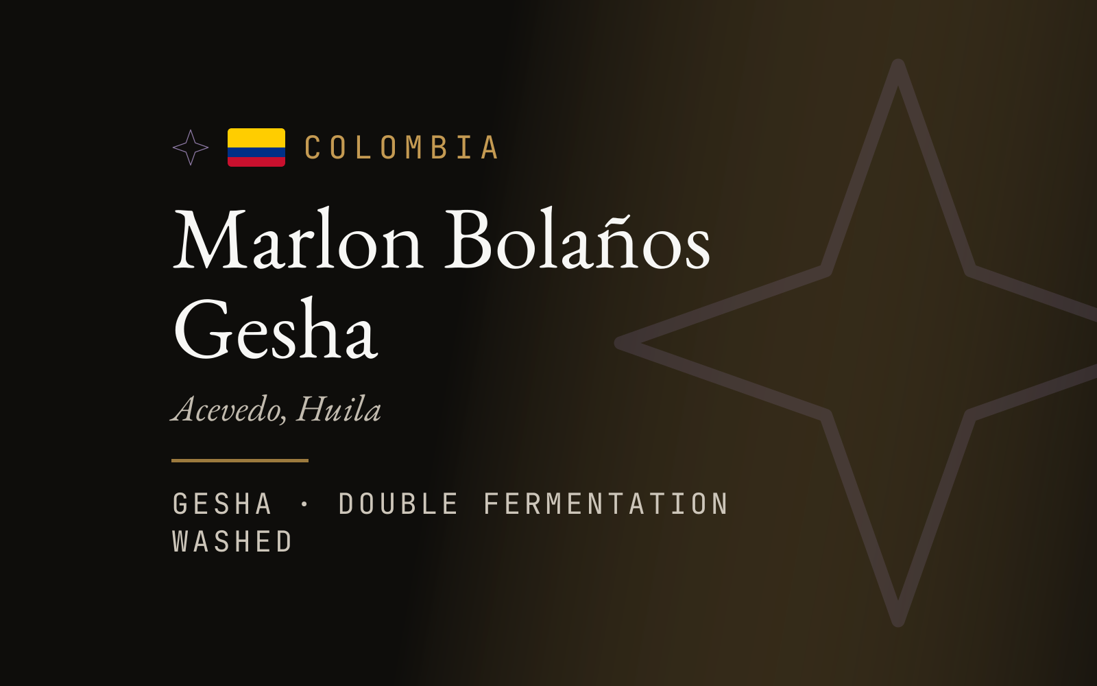 Marlon Bolaños Gesha